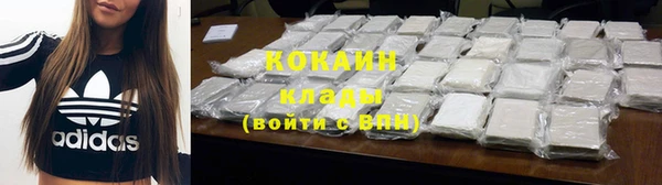 стаф Гусев