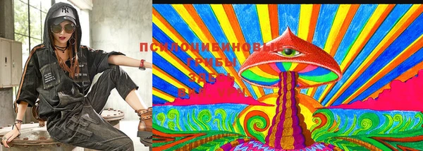 хмурый Дегтярск