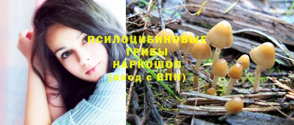 стаф Гусев