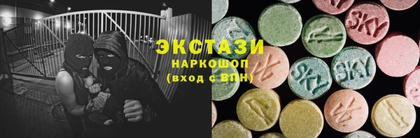 стаф Гусев