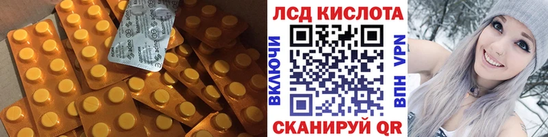 где найти   Жердевка  MEGA как войти  Лсд 25 экстази кислота 