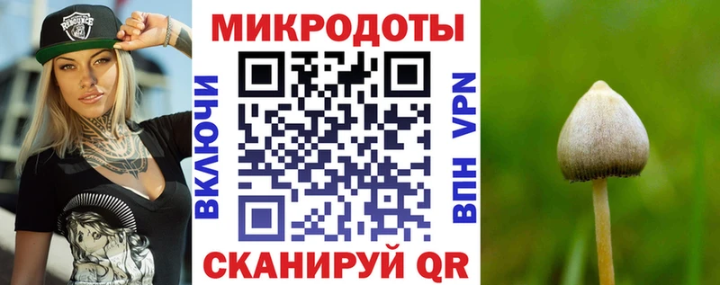 как найти наркотики Жердевка Галлюциногенные грибы мицелий