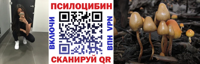 Галлюциногенные грибы ЛСД Жердевка